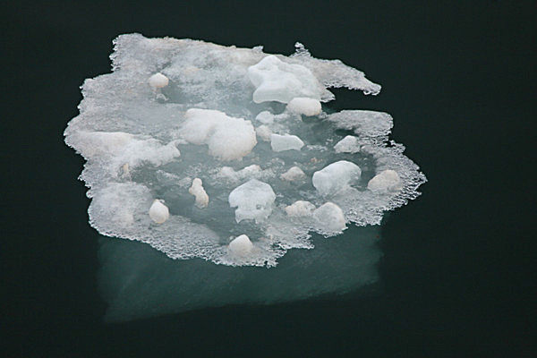 IMG_0012 - SVALBARD 2013