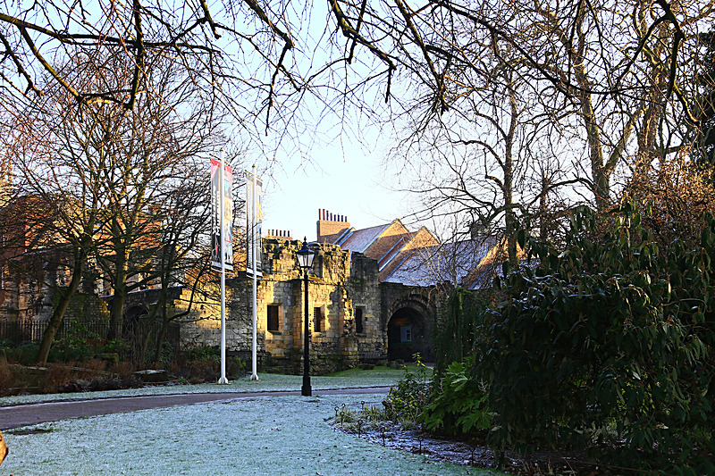 DECEMBER  2014  -9 - FOUR SEASONS MUSEUM GARDENS