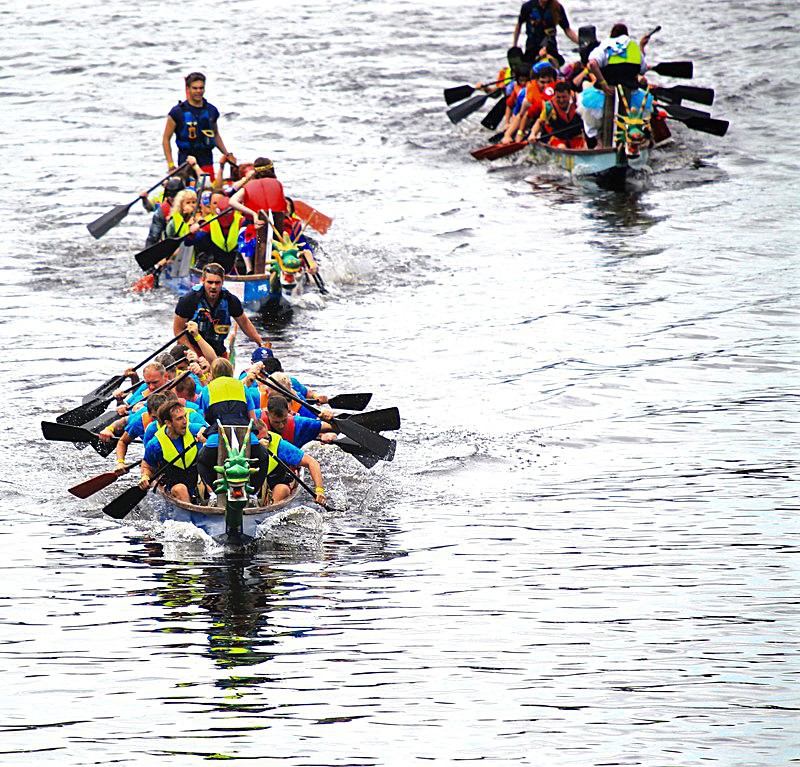 DRAGON BOAT RACE 10 July 2016 - 177 of 549 - DRAGON BOAT RACES 2016 York Rotary Club