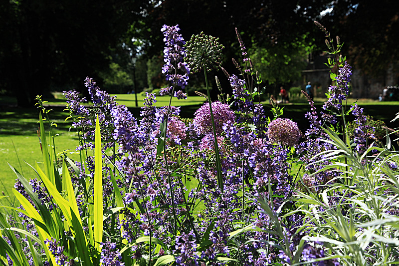 JUNE 2015-26 - FOUR SEASONS MUSEUM GARDENS