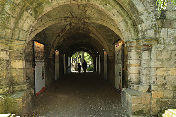 IMGL7825 - MUSEUM GARDENS