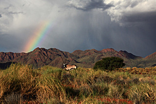 IMG_9831 - NAMIBIA 2012