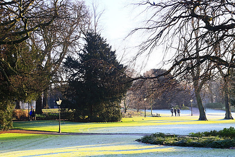 DECEMBER  2014  -8 - FOUR SEASONS MUSEUM GARDENS