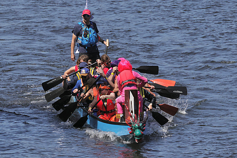 THE YORK ROTARY DRAGON BOAT CHALLENGE 2026 - 223 of 426 - DRAGON BOAT RACE 2026. York Rotary Club.