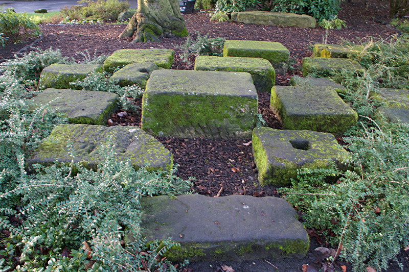 JANUARY 2015 - FOUR SEASONS MUSEUM GARDENS