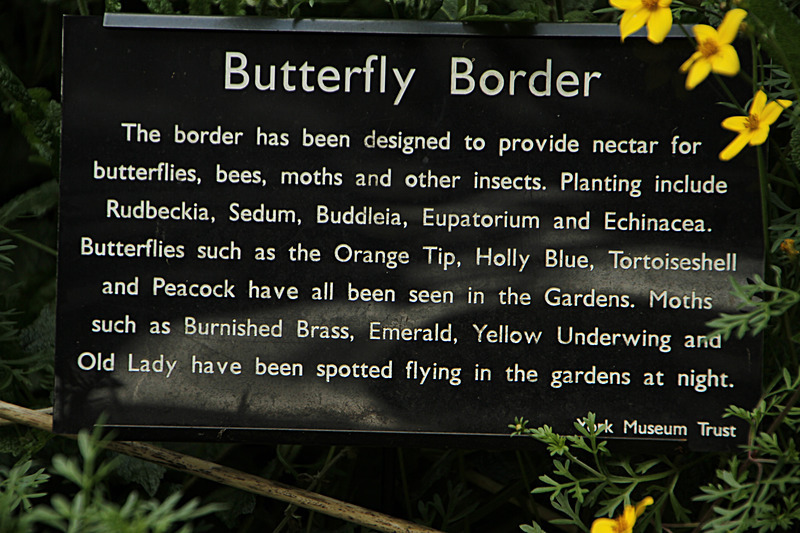 AUGUST 2014  -10 - FOUR SEASONS MUSEUM GARDENS