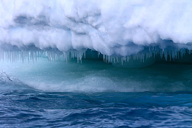  - ANTARCTICA NOV 2014