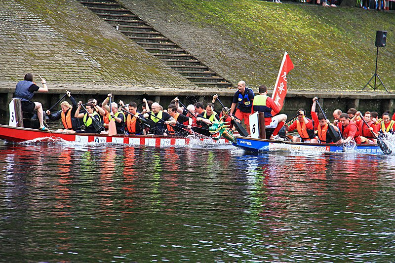 DRAGON BOAT RACE 10 July 2016 - 115 of 549 - DRAGON BOAT RACES 2016 York Rotary Club