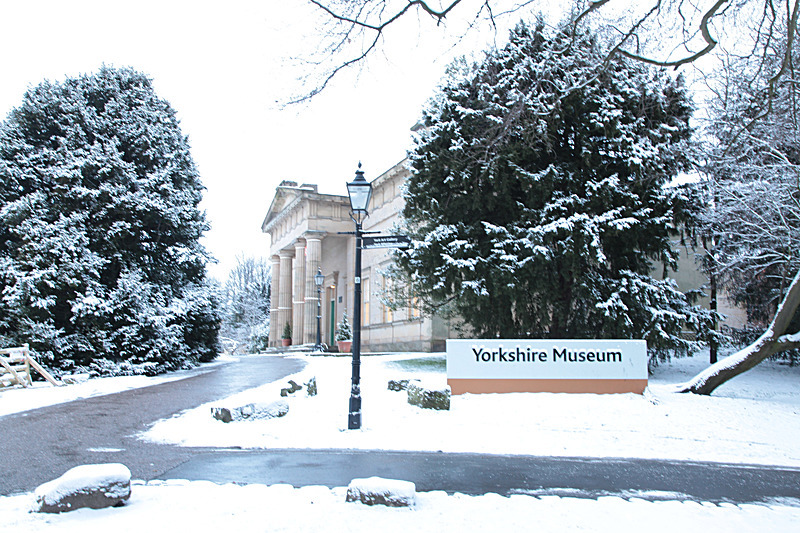 JANUARY 2013-3 - FOUR SEASONS MUSEUM GARDENS