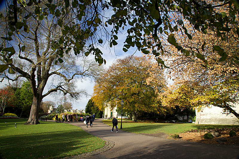 NOVEMBER  2014   - FOUR SEASONS MUSEUM GARDENS