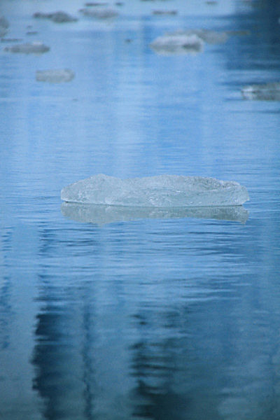 IMG_7830_2 - SVALBARD 2013