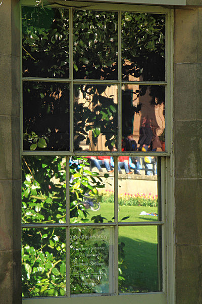 IMG_3279 - MUSEUM GARDENS