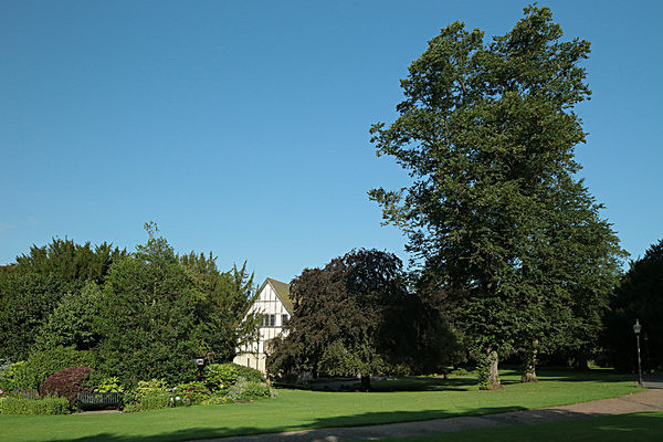 IMGL7650 - MUSEUM GARDENS