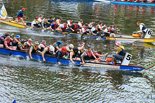 IMGL6580 - DRAGON BOAT RACE 2014 York Rotary Club