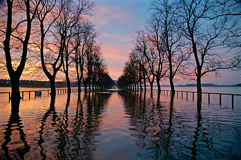 Sunrise over York  Knavesmire in Flood - LPOTY Shortlist 2020