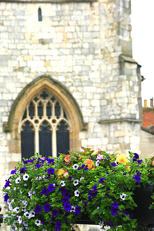 BV6R4144 - MALTON IN BLOOM 2017