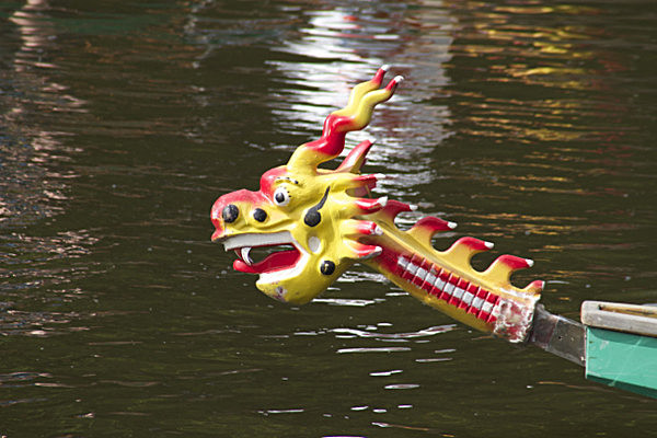 IMG_8848_2 - DRAGON BOAT RACE 2013 York Rotary Club