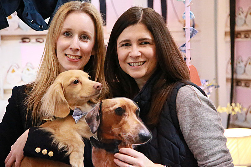 BV6R9340 - TEDDY MAXIMUS at Crufts March 2016. https://teddymaximus.com/