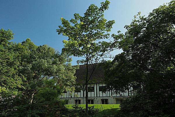 IMGL7714 - MUSEUM GARDENS