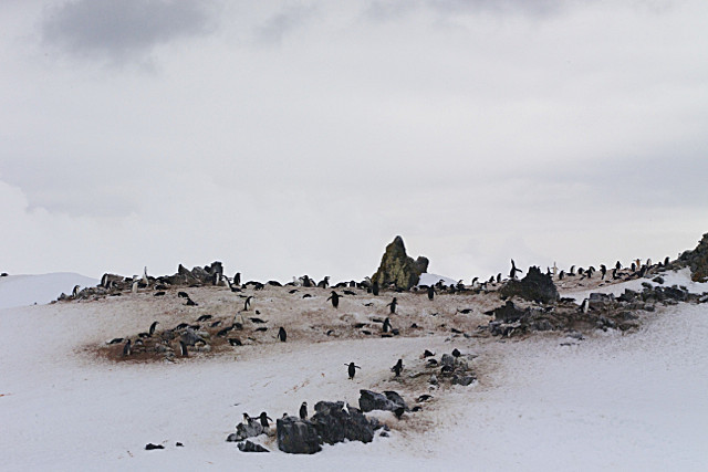  - ANTARCTICA NOV 2014