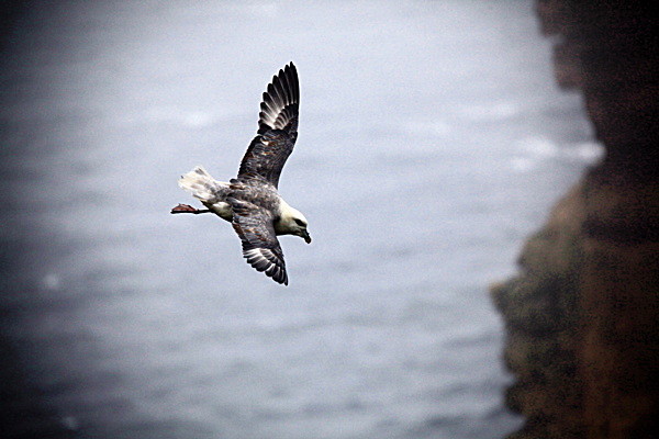 20100831_0236_2 - SCOTLAND 2010