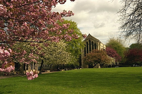  - YORK AGAINST CANCER SPECIAL SILVER CELEBRATION CALENDAR 2012
