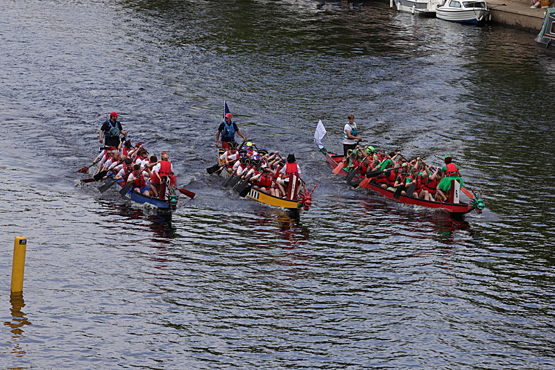 0I9A6953 - DRAGON BOAT RACE 2025