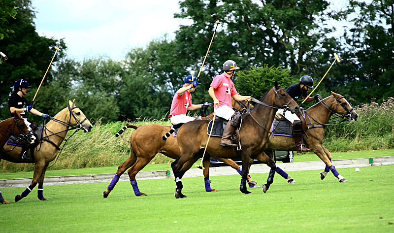 BV6R6794 - WHITE ROSE POLO CLUB LADIES DAY