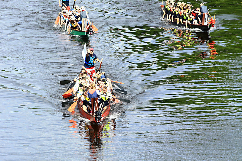 BV6R4195 - DRAGON BOAT RACE 2017