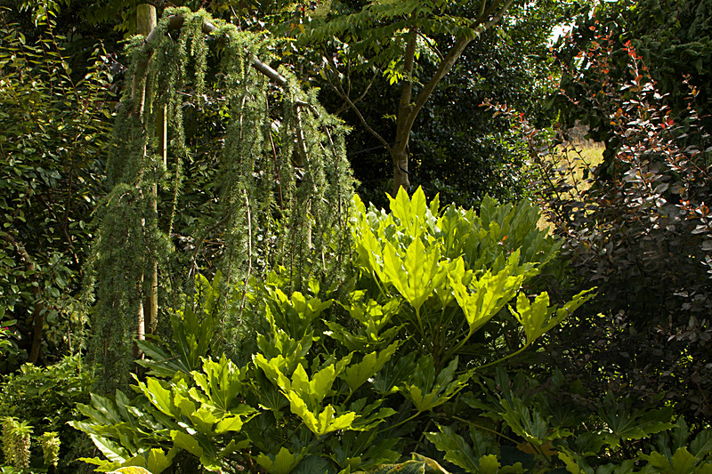 AUGUST 2014  -14 - FOUR SEASONS MUSEUM GARDENS