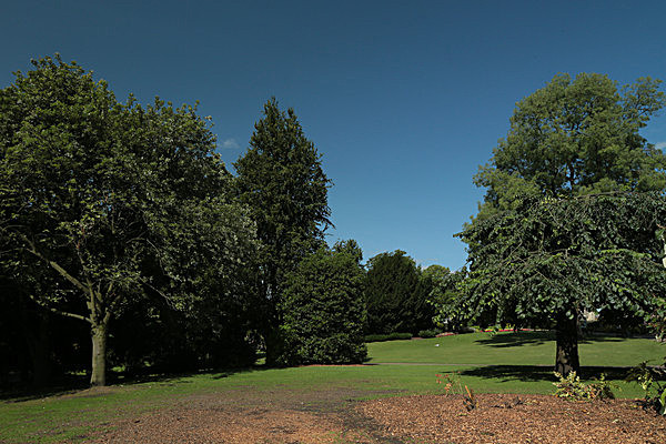 IMGL7829 - MUSEUM GARDENS