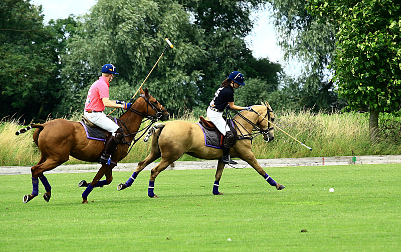 BV6R6803 - WHITE ROSE POLO CLUB LADIES DAY