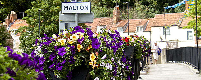 IMG_7596 - MALTON IN BLOOM 2017
