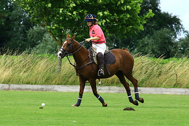 BV6R6766 - WHITE ROSE POLO CLUB LADIES DAY