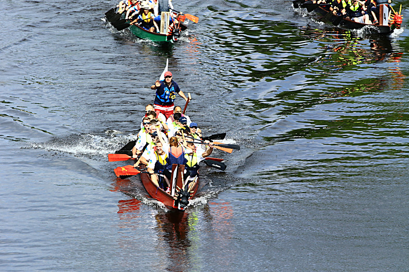 BV6R4196 - DRAGON BOAT RACE 2017