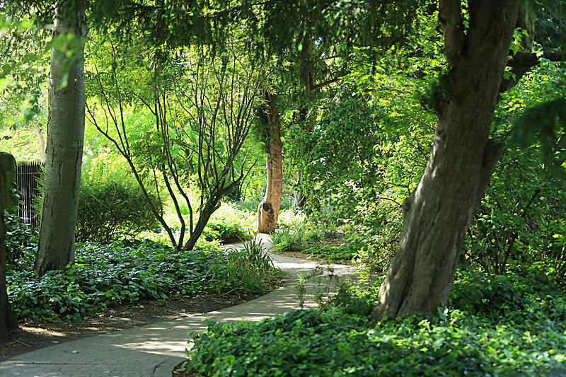 JULY 2014  -3 - FOUR SEASONS MUSEUM GARDENS