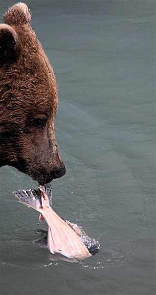  - ALASKA
