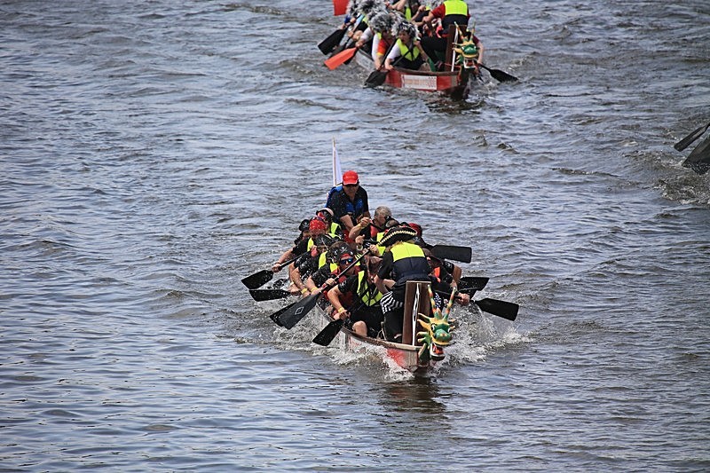BV6R1683 - DRAGON BOAT RACES 2015 York Rotary Club