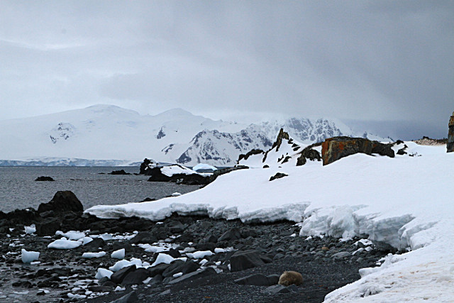  - ANTARCTICA NOV 2014