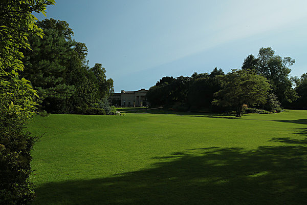 IMGL7710 - MUSEUM GARDENS