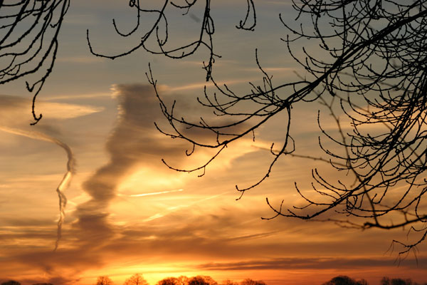 Golden Sunrise - MORNING ON YORK RACECOURSE