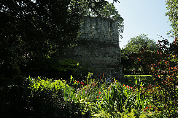 IMGL7798 - MUSEUM GARDENS