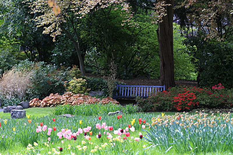 MAY 2015-19 - FOUR SEASONS MUSEUM GARDENS
