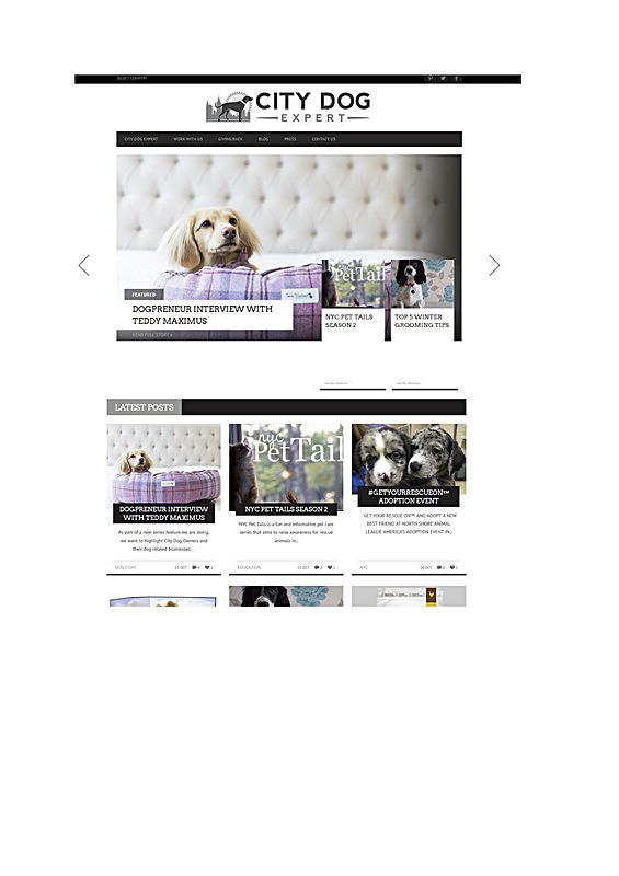 'City Dog' -  media coverage - CHRISTMAS SHOPPING  AT TEDDY MAXIMUS - As seen in Dec 2015 'Vogue Magazine'