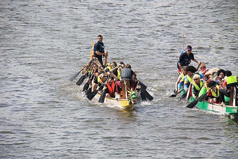 BV6R1751 - DRAGON BOAT RACES 2015 York Rotary Club