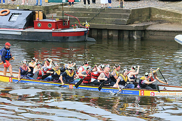 IMGL6527 - DRAGON BOAT RACE 2014 York Rotary Club