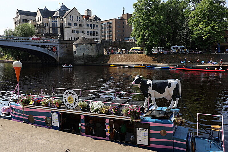 2B9A6319 - DRAGON BOAT RACE 2025