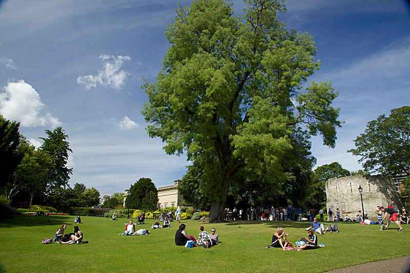 JULY 2014  -7 - FOUR SEASONS MUSEUM GARDENS