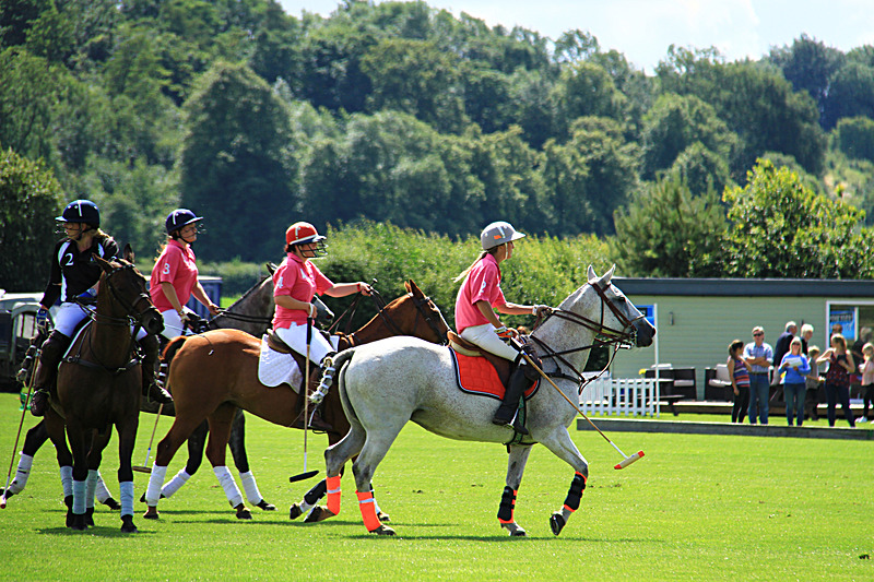 IMG_7617 - WHITE ROSE POLO CLUB LADIES DAY