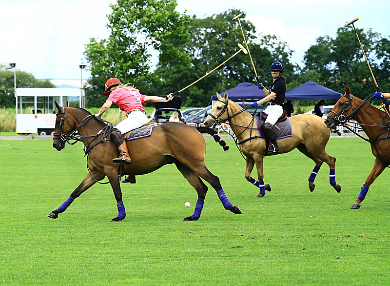 BV6R6787 - WHITE ROSE POLO CLUB LADIES DAY